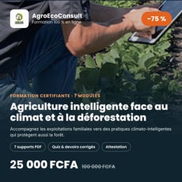 Agriculture intelligente face au climat et à la déforestation