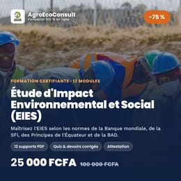 Étude d'Impact Environnemental et Social (EIES) selon les Normes Internationales