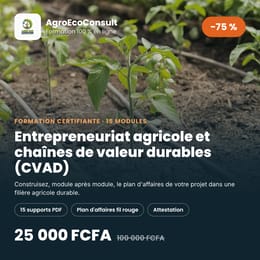 Entrepreneuriat agricole et chaînes de valeur agricoles durables (CVAD) en Afrique