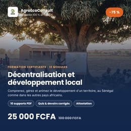 Décentralisation et développement local : Sénégal et Afrique