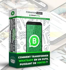 Formation WhatsApp Business