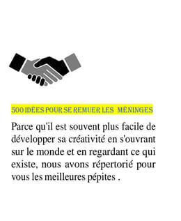 500 idées de business