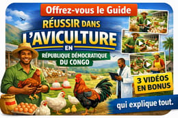 Guide de l'aviculteur en République Démocratique du Congo