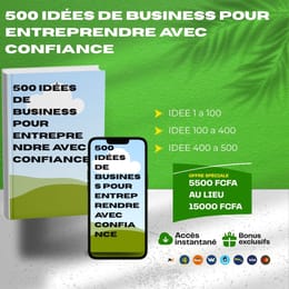 500 IDÉES DE BUSINESS POUR ENTREPRENDRE AVEC CONFIANCE