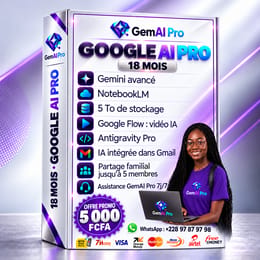 GemPro