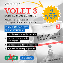 QUI SUIS-JE ? - VOLET 3 : MON ESPRIT