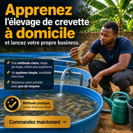 🦐 Crevetticulture 360 : Devenez producteur de crevettes à domicile et lancer votre propre business 🧩