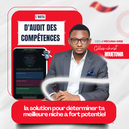 L'outil d'audit des compétences : la solution pour déterminer ta meilleure niche à fort potentiel