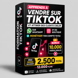 APPRENDS À VENDRE SUR TIKTOK ET ATTIRER DES CLIENTS CIBLER + MONÉTISER TON COMPTE