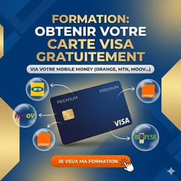 CARTE VISA GRADUITE ET STRATEGIES DE VENTE