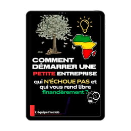 Comment démarrer une PETITE entreprise qui N’ÉCHOUE PAS et qui vous rend libre financièrement ?