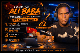Ali Baba Business Afrique: De Débutant à Expert en Vente