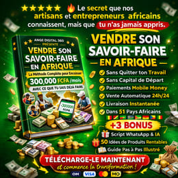Vendre son savoir-faire en Afrique : la méthode pour gagner 300 000 FCFA/mois