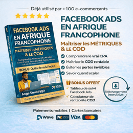 MAITRISER LES METRIQUES FACEBOOK ADS