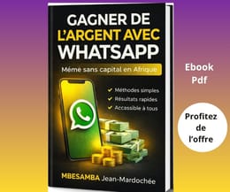 Guide pour Bâtir des revenus avec WhatsApp en Afrique 2026
