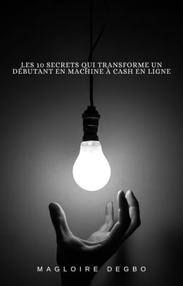 Les 10 secrets qui transforme un débutant en machine à cash en ligne