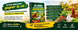 29 JOURS POUR LANCER UN BUSINESS D’ÉLEVAGE ET D’AGRICULTURE