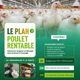 Le Plan Poulet Rentable