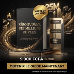 Zéro Budget. Des Millions de Vues. — Le Guide Complet
