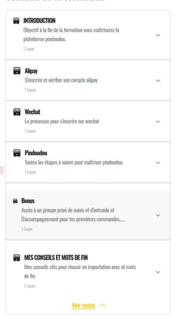 Replay exclusif : débloquez vos difficultés en importation avec Pinduoduo