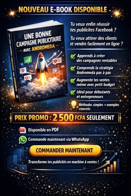 REUSSIR SA CAMPAGNE PUBLICITAIRE AVEC ANDOMEDA