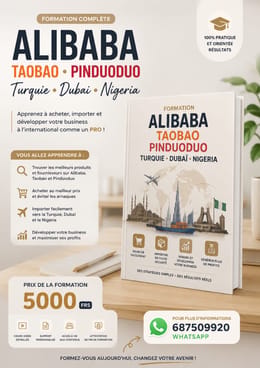 FORMATION ALIBABA TAOBAO PINDUODUO DUBAI TURQUIE NIGERIA