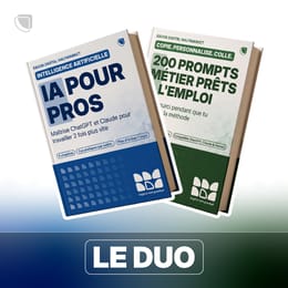 Formation IA pour Pros + 200 Prompts Métier