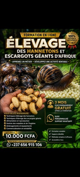 FORMATION : HANNETONS & ESCARGOTS