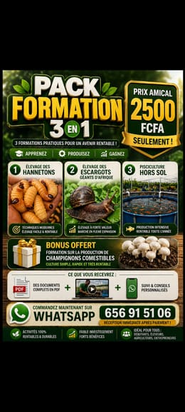 Formation 3 en 1  Hannetons, Escargots et pisciculture hors sol
