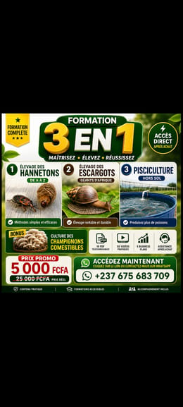 Formation 3en1