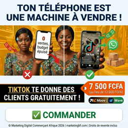 Maîtrisez TikTok en 1 Minute : Stratégies Révolutionnaires pour Dominer le Marché Africain 2026