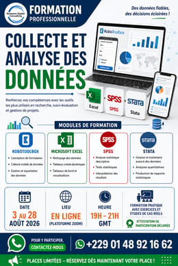 FORMATION PRATIQUE EN COLLECTE ET ANALYSE DES DONNES - EN LIGNE