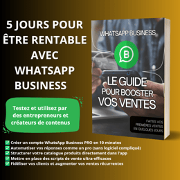 VENDRE CHAQUE JOUR AVEC WHATSAPP BUSINESS : GUIDE + FORMATION VIDÉO