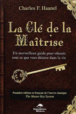 Les Clés de la Maîtrise : Multipliez vos revenus grâce au pouvoir de votre esprit