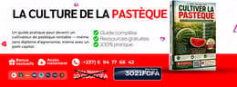 GUIDE;LA CULTURE DE LA PASTÈQUE
