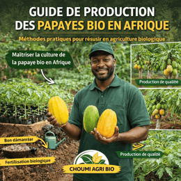 GUIDE DE PRODUCTION BIOLOGIQUE DES PAPAYE BIO EN AFRIQUE
