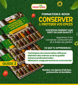 🛡️ GUIDE 3 : CONSERVER & PROTÉGER VOS ÉPICES