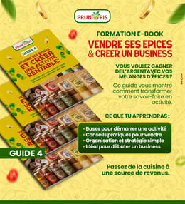 🚀 GUIDE 4 : VENDRE SES ÉPICES & CRÉER UNE ACTIVITÉ RENTABLE