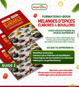 🔥 GUIDE 2 : MÉLANGES ÉLABORÉS & BOUILLONS NATURELS