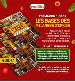 🌶️ GUIDE 1 : LES BASES DES MÉLANGES D’ÉPICES