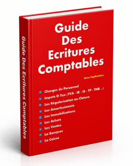 Guide pratique des écritures comptables.