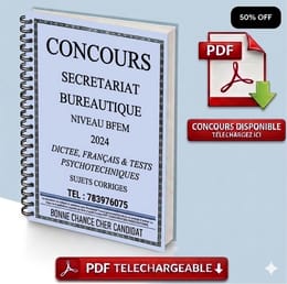 BT SECRETARIAT BUREAUTIQUE BFEM