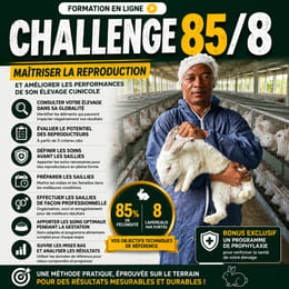 Challenge 85/8
