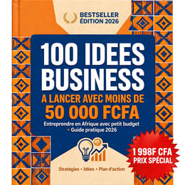 100 IDEES BUSINESS A LANCER AVEC MOINS DE 50 000 FCFA