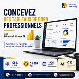 Concevez des Tableaux de bord professionnels dynamiques et interactifs avec Power BI