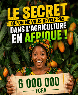 LE SECRET QU’ON NE VOUS REVELE PAS DANS L’AGRICULTURE EN AFRIQUE !