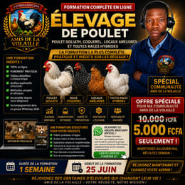 Formation en élevage de poulet  Amis de la Volaille