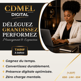 GESTION & EXPANSION RÉSEAUX SOCIAUX - CDMEL GROWTH