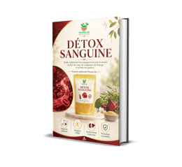 Détox Sanguine :  Soutenir le foie, les reins, la digestion et le bien-être général