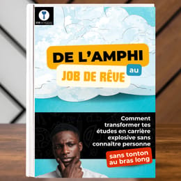 De l'Amphi au Job de Rêve (Guide pratique pour réussir son insertion pro)